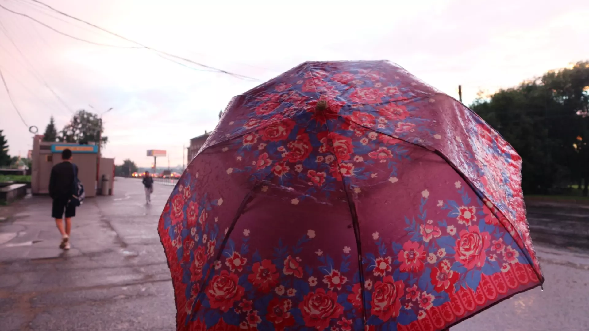 Дожди будут заливать Ростовскую область с 21 апреля
